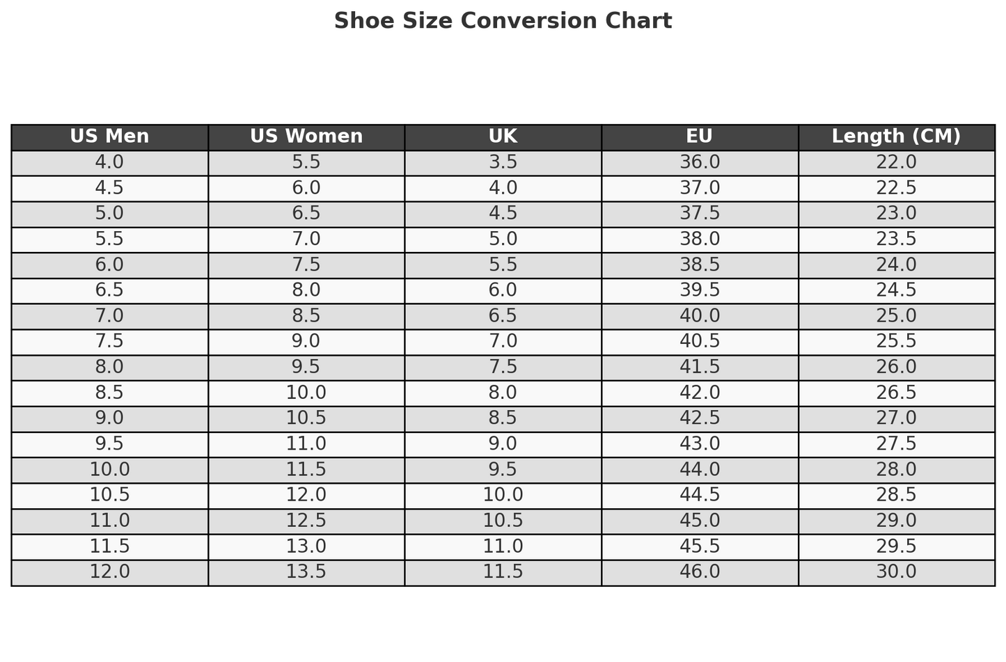 Brain Dead x Forest Hills - Black / Natural Details